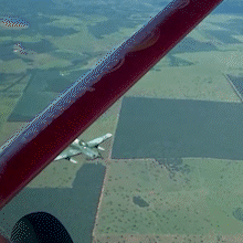 Blitz a&eacute;rea e anivers&aacute;rio com bolo de melancia s&atilde;o os v&iacute;deos mais vistos