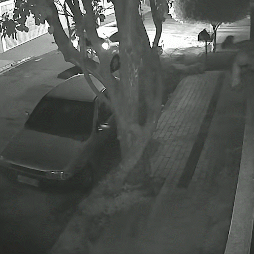 Em menos de dez minutos, assaltantes deixam preju&iacute;zo de R$ 20 mil &agrave; aposentada