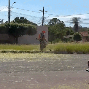 Canteiros de avenidas entram na lista de pedidos de quem faz bico cortando grama