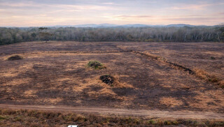 Fazendeiro &eacute; investigado por danos ambientais em 447 hectares em Bonito