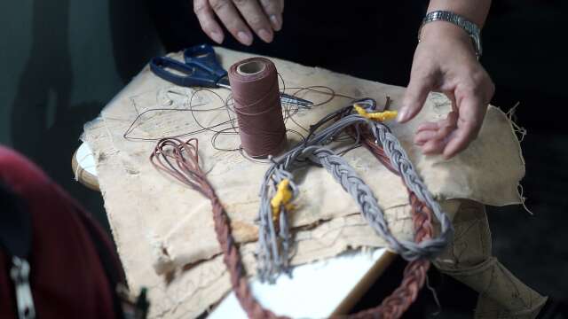 Lei Rouanet autoriza capta&ccedil;&atilde;o de at&eacute; R$ 6 milh&otilde;es para projeto no Pantanal