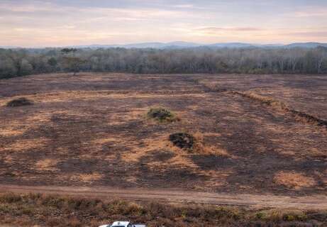 Fazendeiro &eacute; investigado por danos ambientais em 447 hectares em Bonito