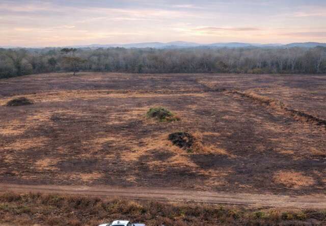 Fazendeiro &eacute; investigado por danos ambientais em 447 hectares em Bonito
