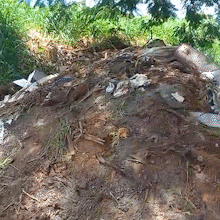 &ldquo;Est&aacute; tomado de lixo&rdquo;, diz comerciante sobre descarte irregular no bairro