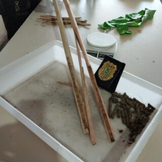 Mulher de traficante &eacute; presa tentando entrar em pres&iacute;dio com maconha em vassoura