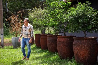 Do quintal ao apartamento, jardins criativos mudaram a forma de morar