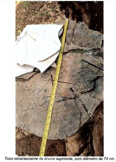 Prefeitura recorre &agrave; Justi&ccedil;a para desocupar pra&ccedil;a explorada por comerciantes