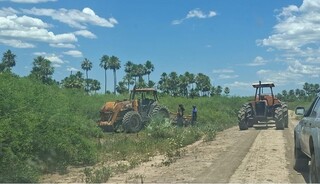 Bombeiros entram em alerta para risco de fogo em 36 municípios Bombeiros entram em alerta para risco de fogo em 36 municípios