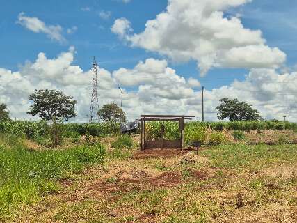Acampados em 2 &aacute;reas, grupos terena fogem de aluguel alto longe de aldeias