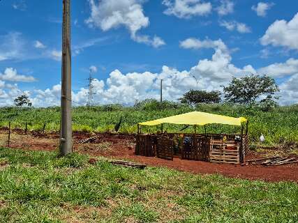 Ind&iacute;genas limpam terreno e iniciam constru&ccedil;&atilde;o de barracos no Indubrasil 