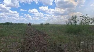 Bombeiros entram em alerta para risco de fogo em 36 municípios Bombeiros entram em alerta para risco de fogo em 36 municípios