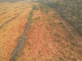 Empresas de Bonito são investigadas por poluição e desmatamento Empresas de Bonito são investigadas por poluição e desmatamento