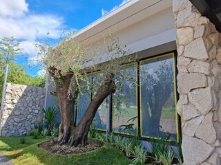 Do quintal ao apartamento, jardins criativos mudaram a forma de morar