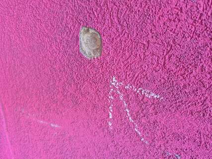 Adolescente e amigo s&atilde;o socorridos em estado grave ap&oacute;s atentado a tiros