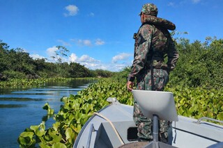 Pol&iacute;cia Militar Ambiental muda telefone para den&uacute;ncias e resgate de animais