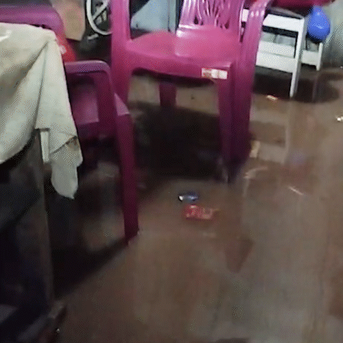 Temporal em Corumb&aacute; deixou 21 casas alagadas e provocou 6 quedas de &aacute;rvores