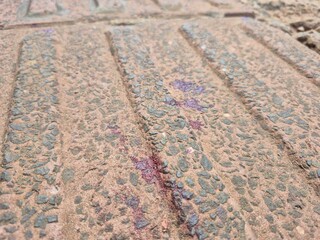 Adolescente e amigo s&atilde;o socorridos em estado grave ap&oacute;s atentado a tiros