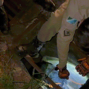 Cachorro &eacute; resgatado ap&oacute;s cair em bueiro na Av. C&ocirc;nsul Assaf Trad