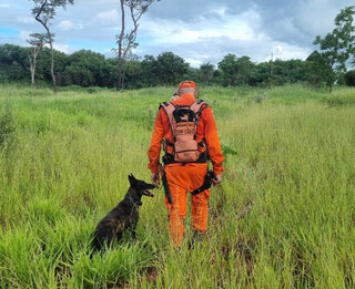 Bombeiros usam c&atilde;es farejadores em busca de jovem desaparecido no Nova Lima