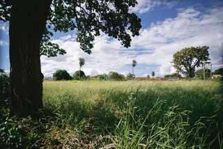 Matagal, lixo e ocupa&ccedil;&atilde;o em quadra inteira geram inseguran&ccedil;a no Tijuca