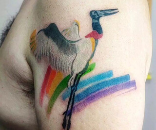 Concei&ccedil;&atilde;o dos Bugres, araras e on&ccedil;as viraram arte eternizada por Cristina