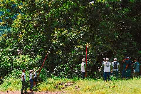 Comunidade Kadiw&eacute;u aprende t&eacute;cnicas para recuperar &aacute;reas degradadas