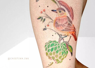 Concei&ccedil;&atilde;o dos Bugres, araras e on&ccedil;as viraram arte eternizada por Cristina