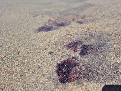 Suspeito de roubo em Terenos &eacute; morto pela PM no Nova Campo Grande