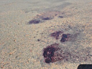 Suspeito de roubo em Terenos &eacute; morto pela PM no Nova Campo Grande