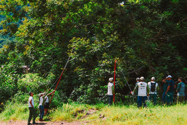 Comunidade Kadiw&eacute;u aprende t&eacute;cnicas para recuperar &aacute;reas degradadas