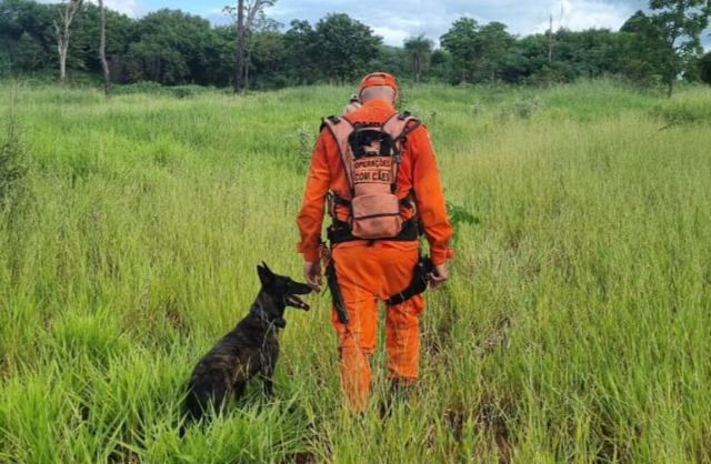 C&atilde;o farejador encontra corpo de rapaz que estava desaparecido no Nova Lima