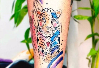 Concei&ccedil;&atilde;o dos Bugres, araras e on&ccedil;as viraram arte eternizada por Cristina