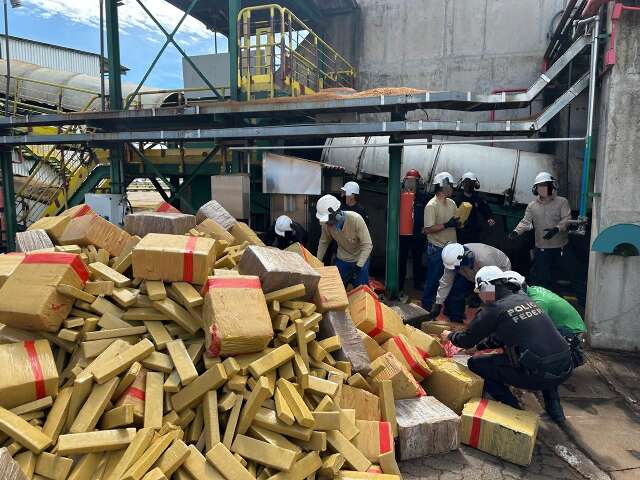 Na 1&ordf; queima do ano, Pol&iacute;cia Federal destr&oacute;i 8,2 toneladas de drogas 