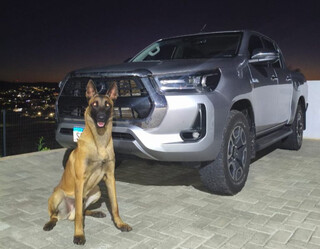 Pol&iacute;cia recupera no PR caminhonete de R$ 300 mil ligada a estelionat&aacute;rio de MS