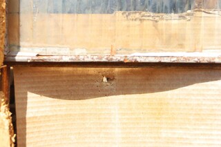 &ldquo;Quase acertaram as crian&ccedil;as&rdquo;, diz familiar de jovem morto a tiros por d&iacute;vida 