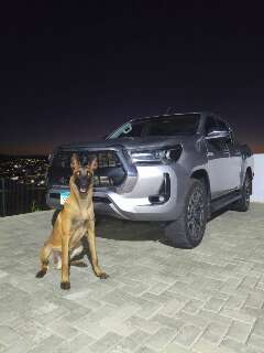 Pol&iacute;cia recupera no PR caminhonete de R$ 300 mil ligada a estelionat&aacute;rio de MS