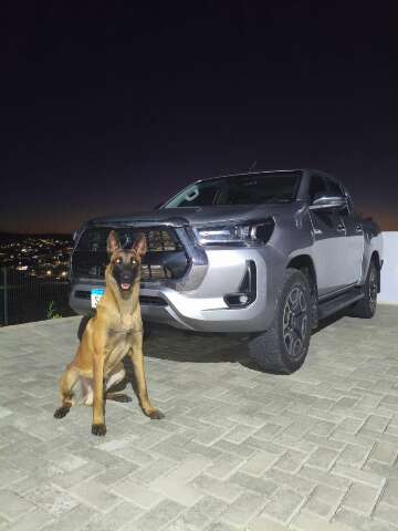 Pol&iacute;cia recupera no PR caminhonete de R$ 300 mil ligada a estelionat&aacute;rio de MS