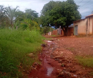 Morador reclama de via intransit&aacute;vel, mato alto e inseguran&ccedil;a no Jardim Colorado