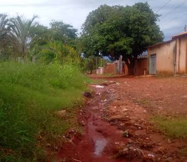 Morador reclama de via intransit&aacute;vel, mato alto e inseguran&ccedil;a no Jardim Colorado