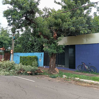 Convers&atilde;o proibida de caminh&atilde;o dos Correios atinge &aacute;rvore no Cabre&uacute;va