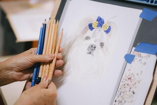 Confundida com IA, Norma faz desenhos de pets "ganharem vida"