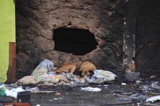 Antigo pr&eacute;dio comercial vira ponto de descarte de lixo e consumo de drogas