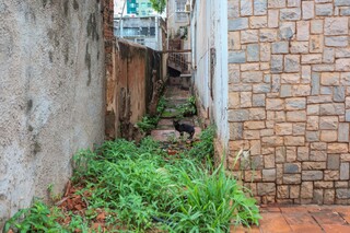 Da d&eacute;cada de 1950, casar&atilde;o "protegido" dos Neder se deteriora