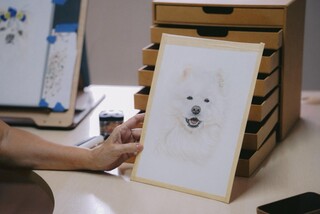 Confundida com IA, Norma faz desenhos de pets "ganharem vida"