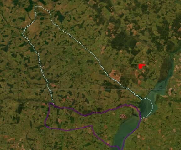 Uni&atilde;o garante &agrave; Bracell energia na "porta da f&aacute;brica" em 2029