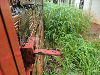 Casa &agrave; venda tem port&atilde;o arrombado e ed&iacute;cula destru&iacute;da por inc&ecirc;ndio