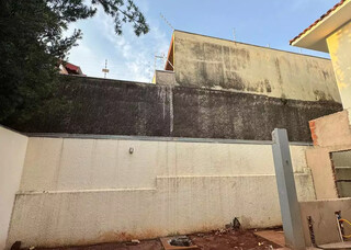 Mural de 7 metros leva um pouco do Pantanal para o quintal de casa