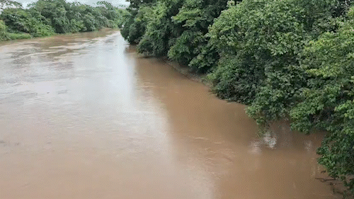 Chuvas elevam n&iacute;veis dos rios em MS e aumentam risco de alagamentos