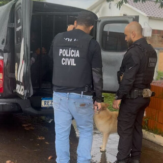 Plantação de maconha e arsenal são apreendidos durante operação em Bataguassu Plantação de maconha e arsenal são apreendidos durante operação em Bataguassu