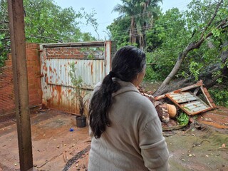 Ing&aacute; ca&iacute;do bloqueia casas e figueira &eacute; nova amea&ccedil;a no Jardim das Cerejeiras